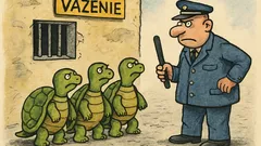 Vtip: Idú tri korytnačky do mäsiarstva