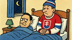 Vtip: Dvaja slovenskí fanúšikovia po hokeji